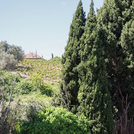 Apartamento La Source