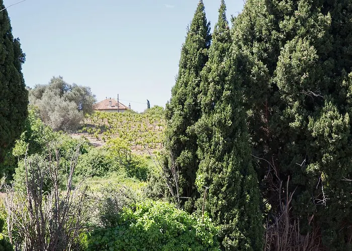 アパート La Source